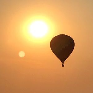 Meet your Posher, Dakota